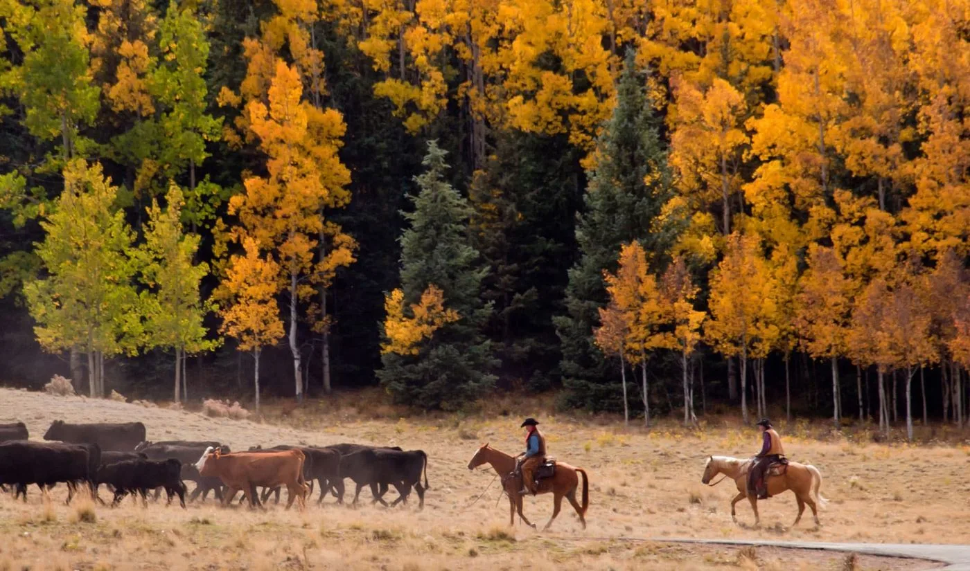 Patrick Fallon — On the trail