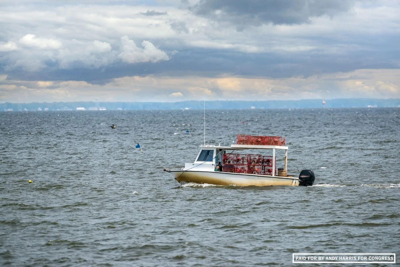 Andrew P Harris — Photo
