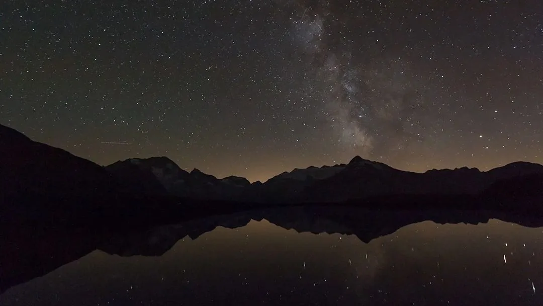 Dan Mims — Photo