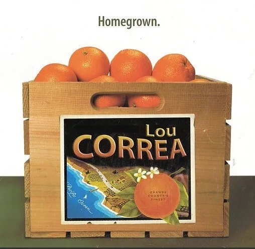 Lou Correa — Photo