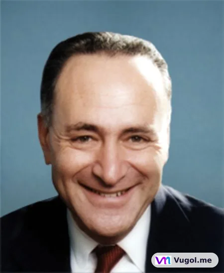 Portrait of Charles E. Schumer