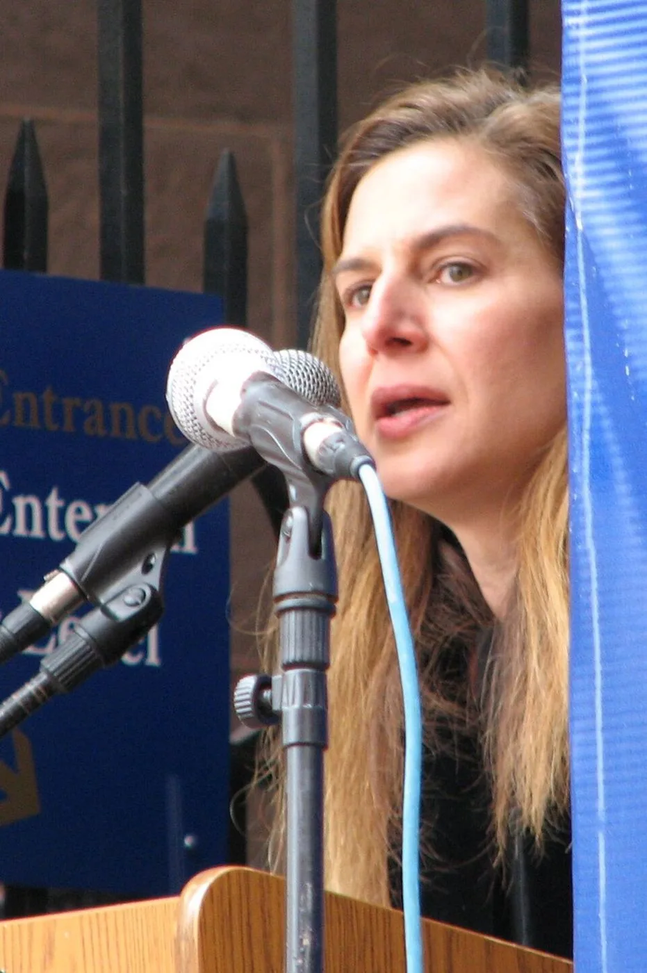 Susan Bysiewicz — Photo