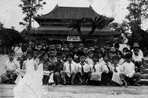 Lily Tang Williams — Photo